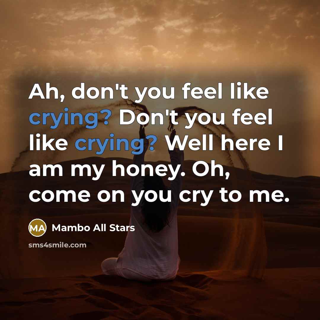 “Ah, don't you feel like crying? Don't you feel like…” quote by Mambo All Stars