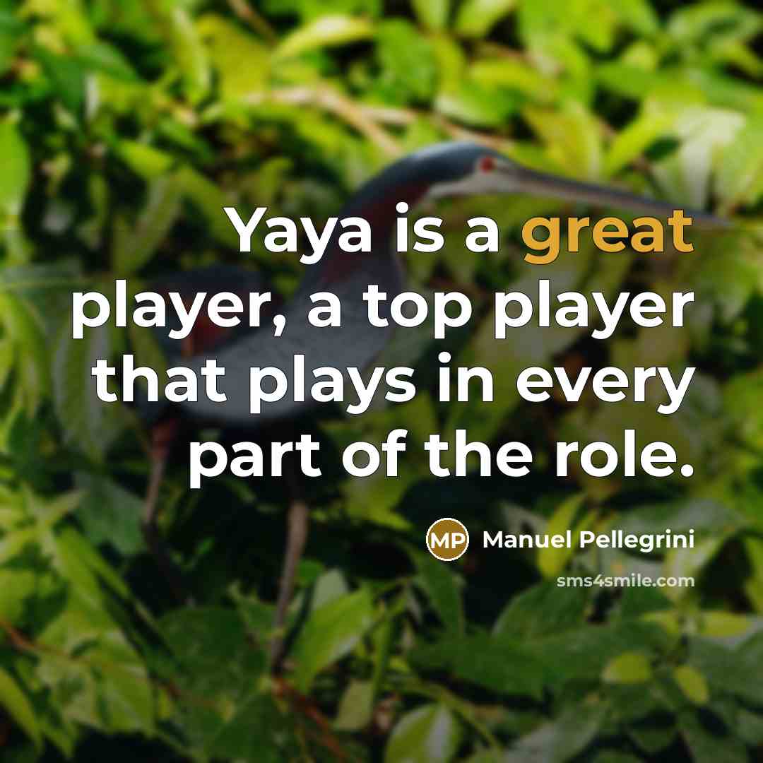 “Yaya is a great player, a top player that plays…” quote by Manuel Pellegrini