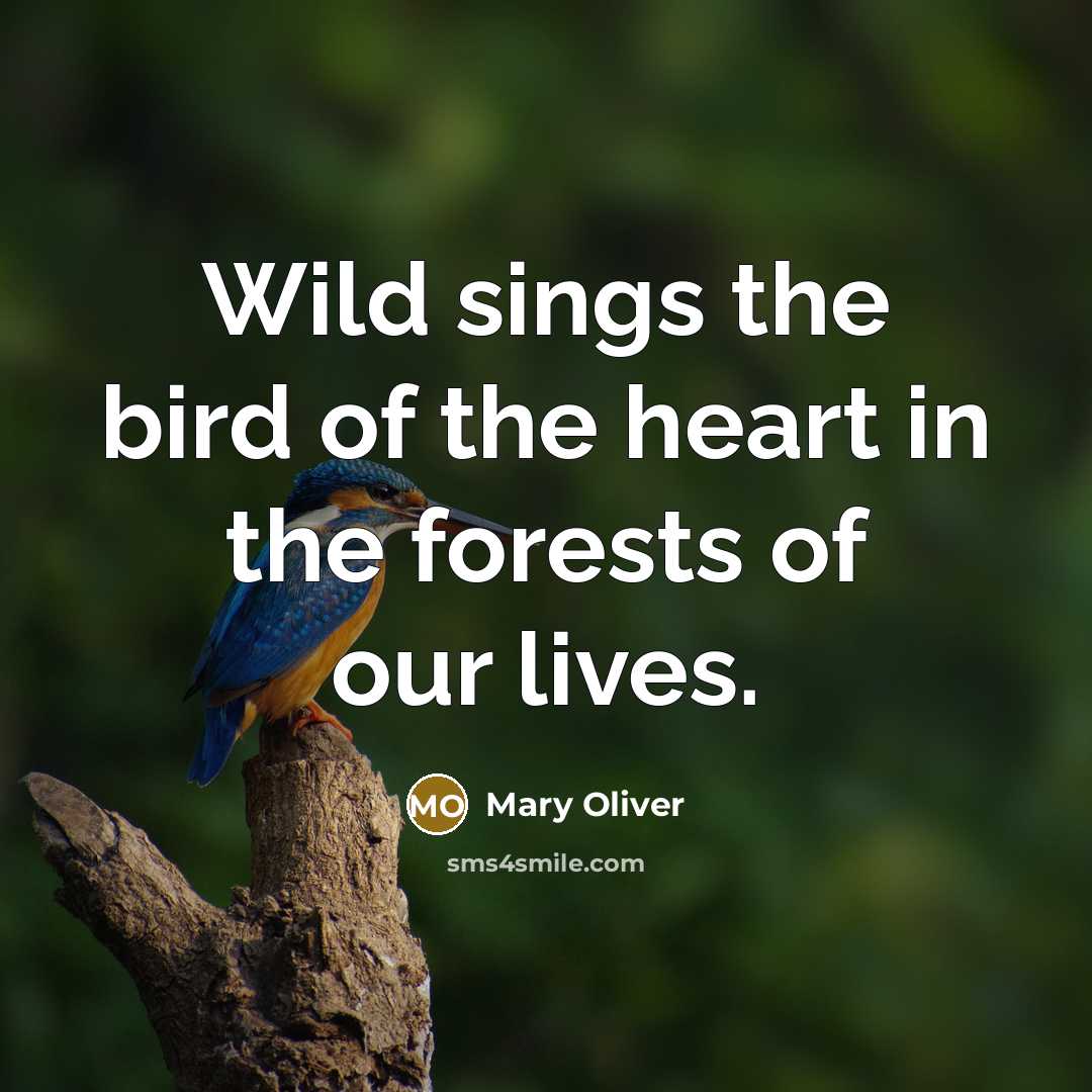 “Wild sings the bird of the heart in the forests…” quote by Mary Oliver