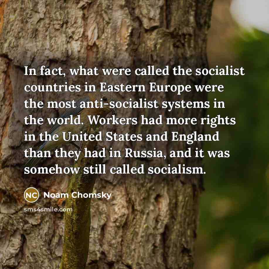 “In fact, what were called the socialist countries in Eastern…” quote by Noam Chomsky