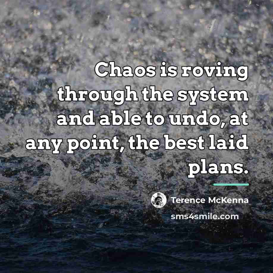 “Chaos is roving through the system and able to undo,…” quote by Terence McKenna