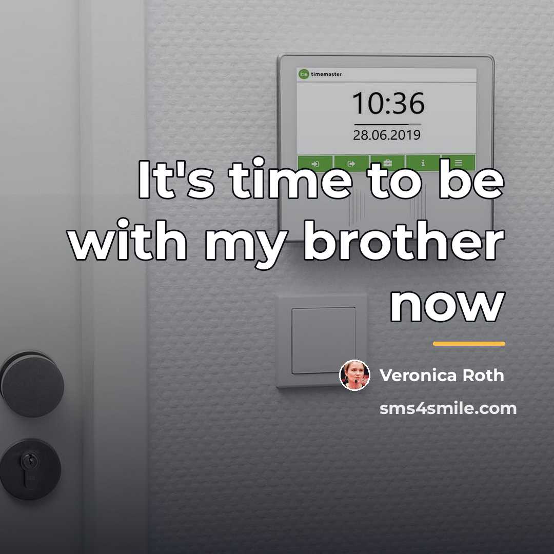 “It's time to be with my brother now…” quote by Veronica Roth