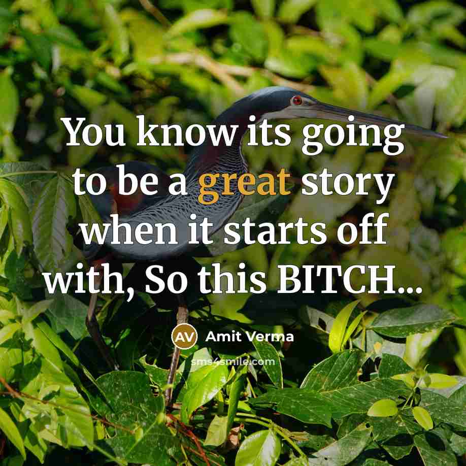 “You know its going to be a great story when…” quote by Amit Verma