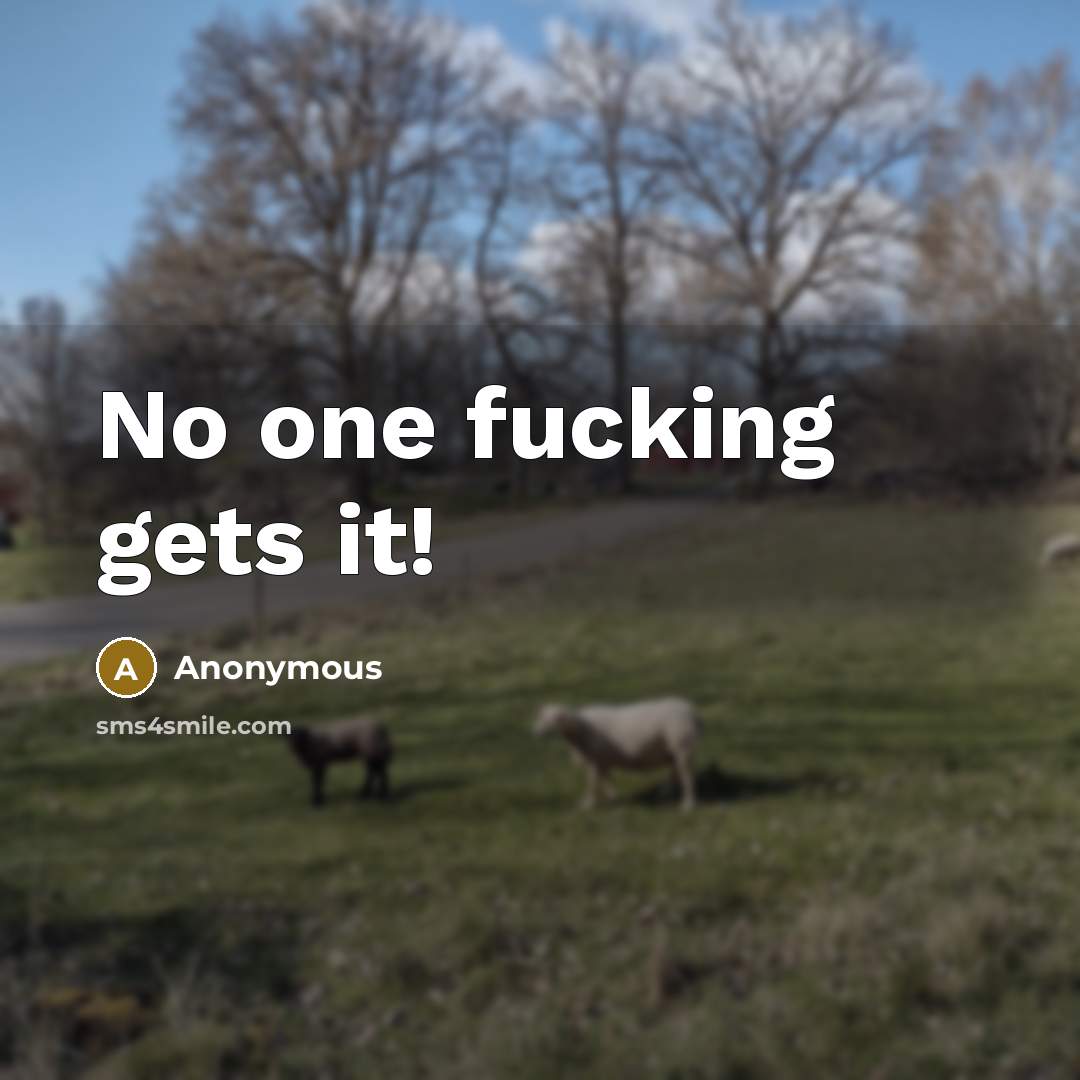 “No one fucking gets it!” quote by Anonymous