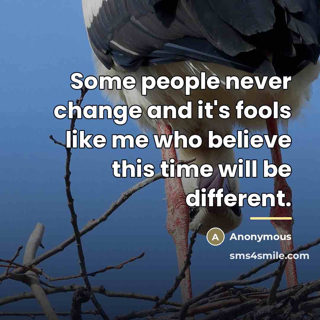 “Some people never change and it's fools like me who…” quote by Anonymous