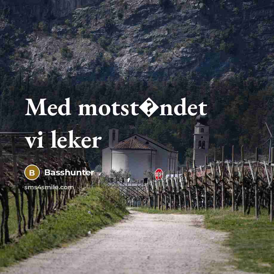 “Med motst�ndet vi leker” quote by Basshunter