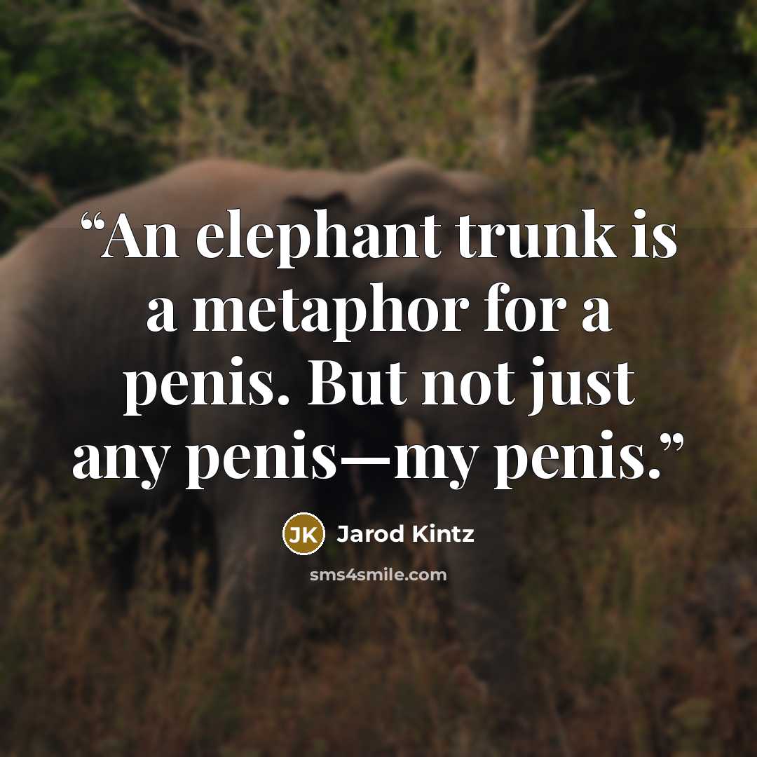“An elephant trunk is a metaphor for a penis. But not just any penis—my penis.” quote by Jarod Kintz