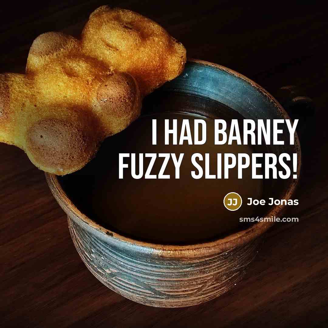 “I had Barney fuzzy slippers!…” quote by Joe Jonas