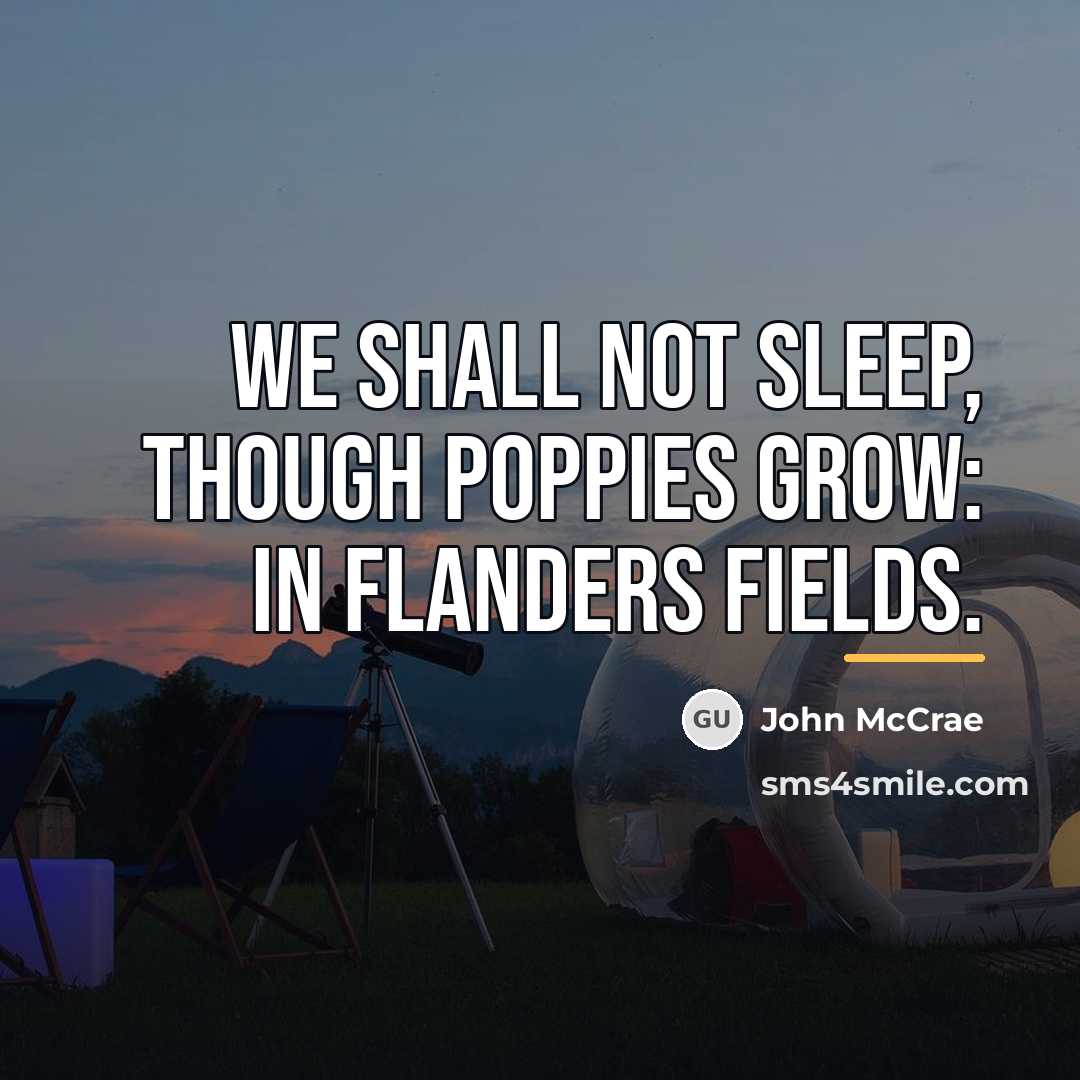 “We shall not sleep, though poppies grow: In Flanders fields.…” quote by John McCrae
