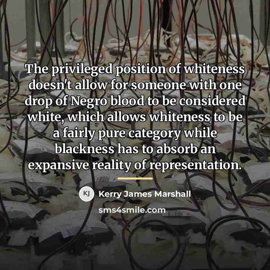 “The privileged position of whiteness doesn't allow for someone with…” quote by Kerry James Marshall