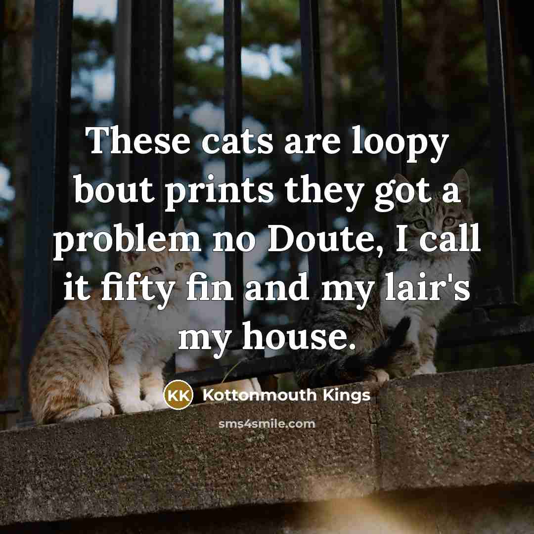 “These cats are loopy bout prints they got a problem…” quote by Kottonmouth Kings