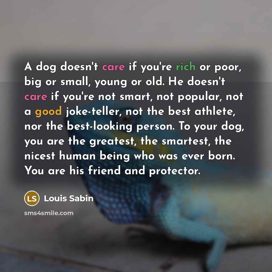 “A dog doesn't care if you're rich or poor, big or small, young or old. He doesn't care if you're not smart, not popular, not a good joke-teller, not the best athlete, nor the best-looking person. To your dog, you are the greatest, the smartest, the nicest human being who was ever born. You are his…” quote by Louis Sabin