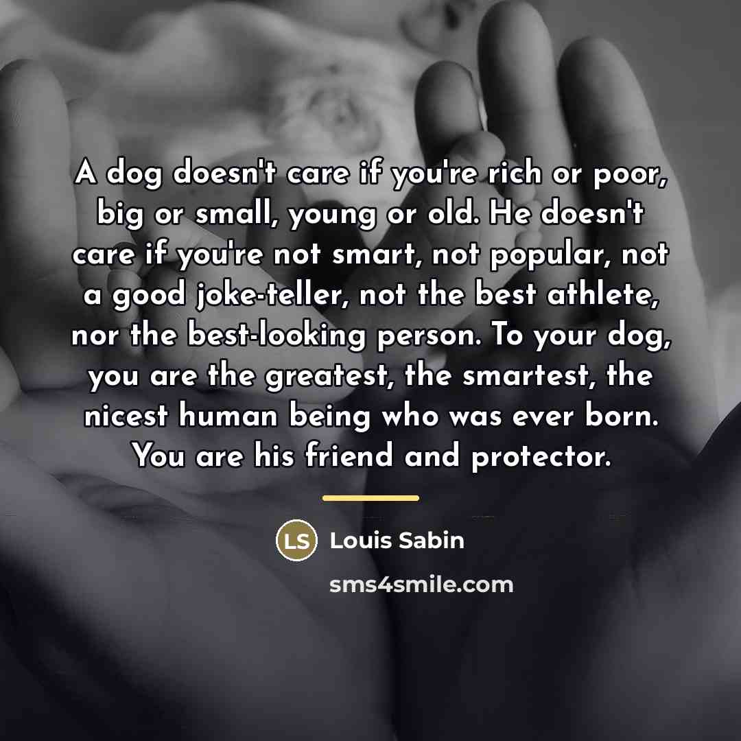 “A dog doesn't care if you're rich or poor, big…” quote by Louis Sabin