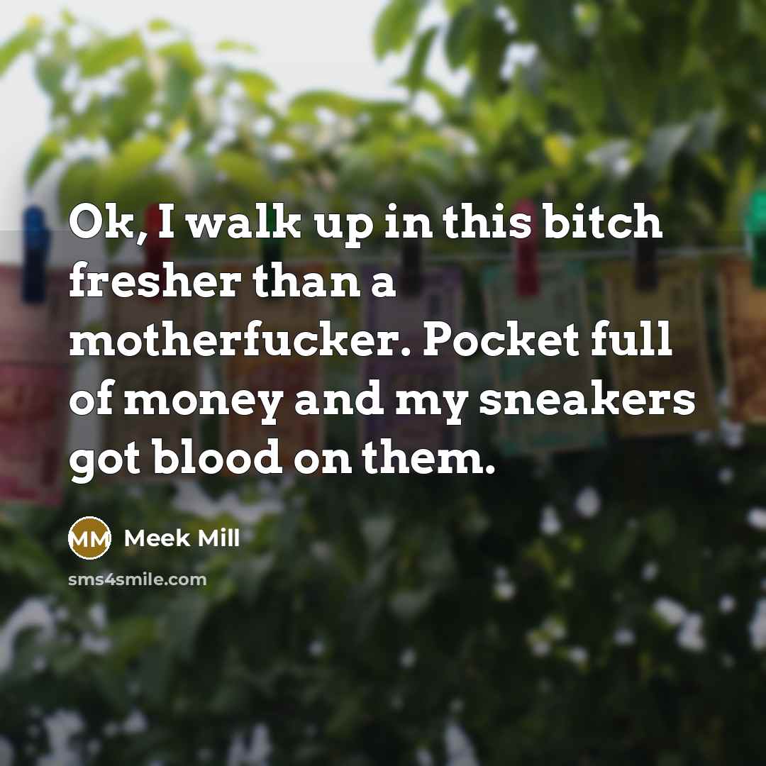 “Ok, I walk up in this bitch fresher than a…” quote by Meek Mill