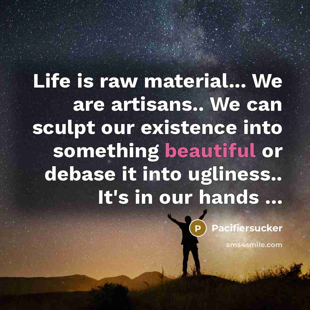 “Life is raw material... We are artisans.. We can sculpt…” quote by Pacifiersucker