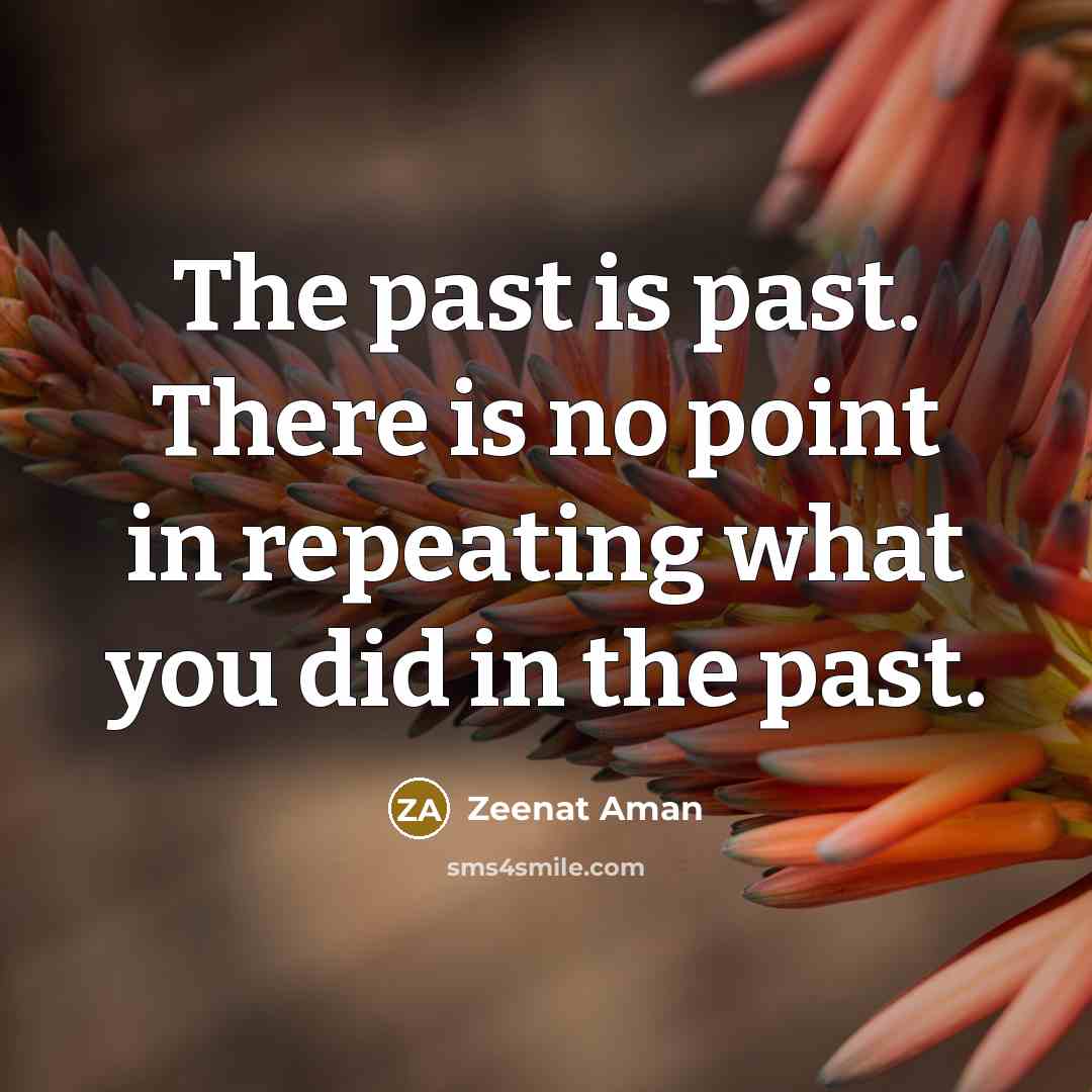 “The past is past. There is no point in repeating…” quote by Zeenat Aman
