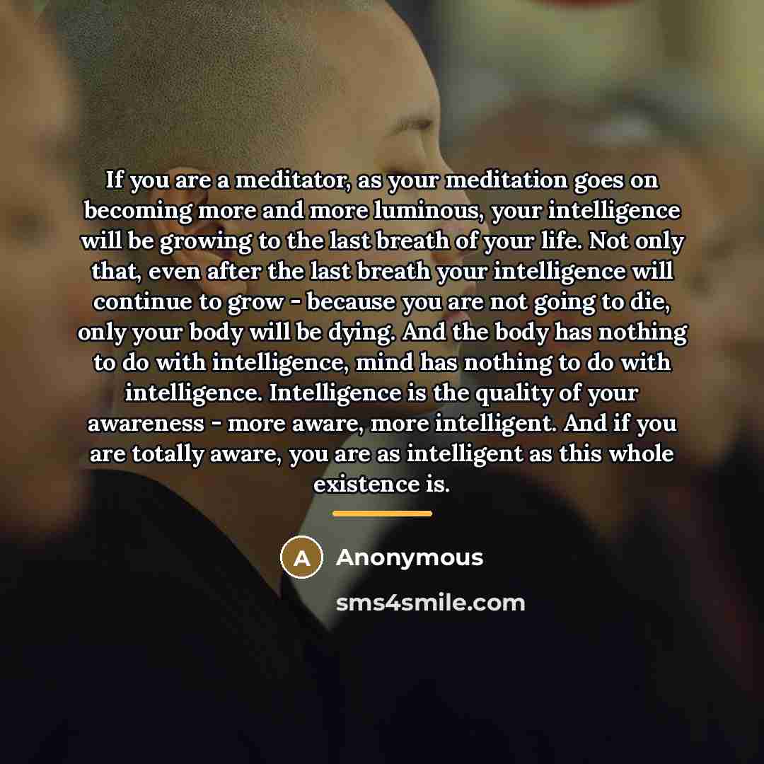 “If you are a meditator, as your meditation goes on…” quote by Anonymous