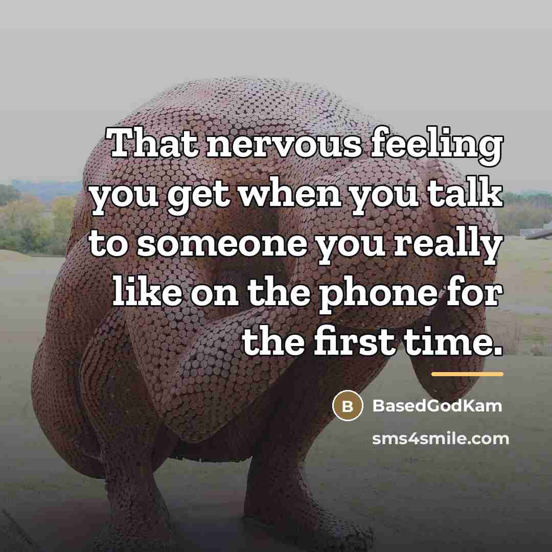 “That nervous feeling you get when you talk to someone…” quote by BasedGodKam