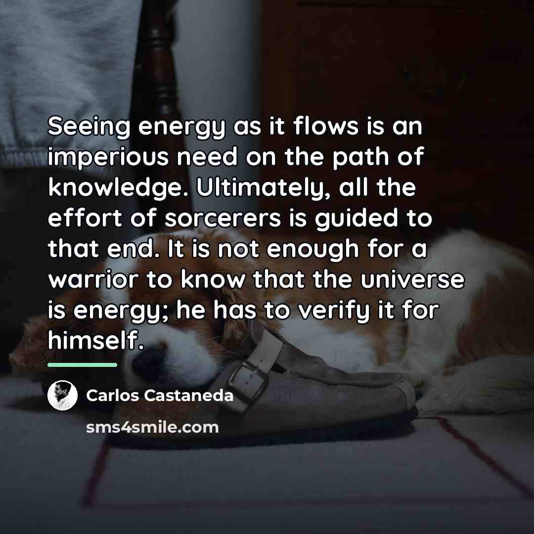 “Seeing energy as it flows is an imperious need on…” quote by Carlos Castaneda