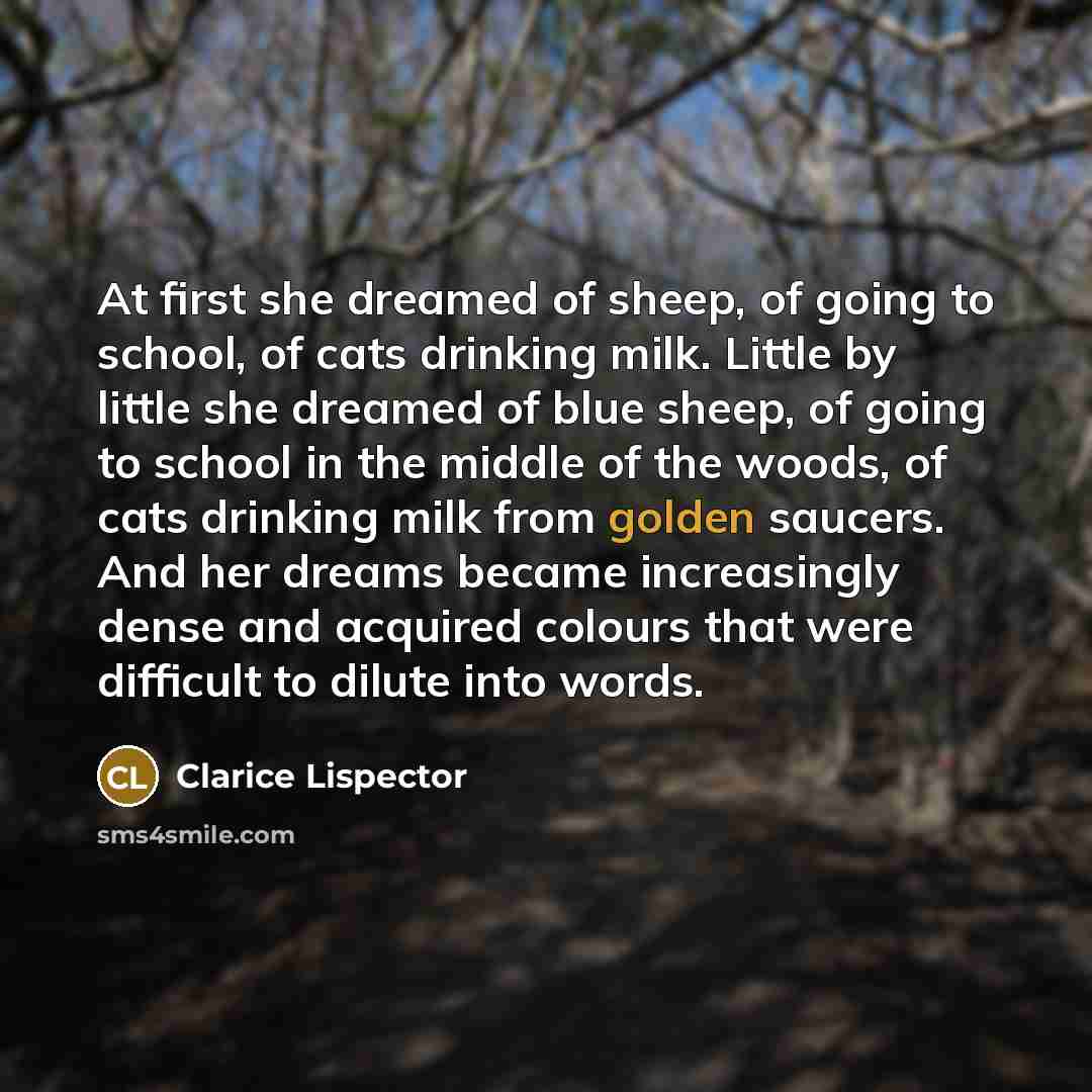 “At first she dreamed of sheep, of going to school,…” quote by Clarice Lispector