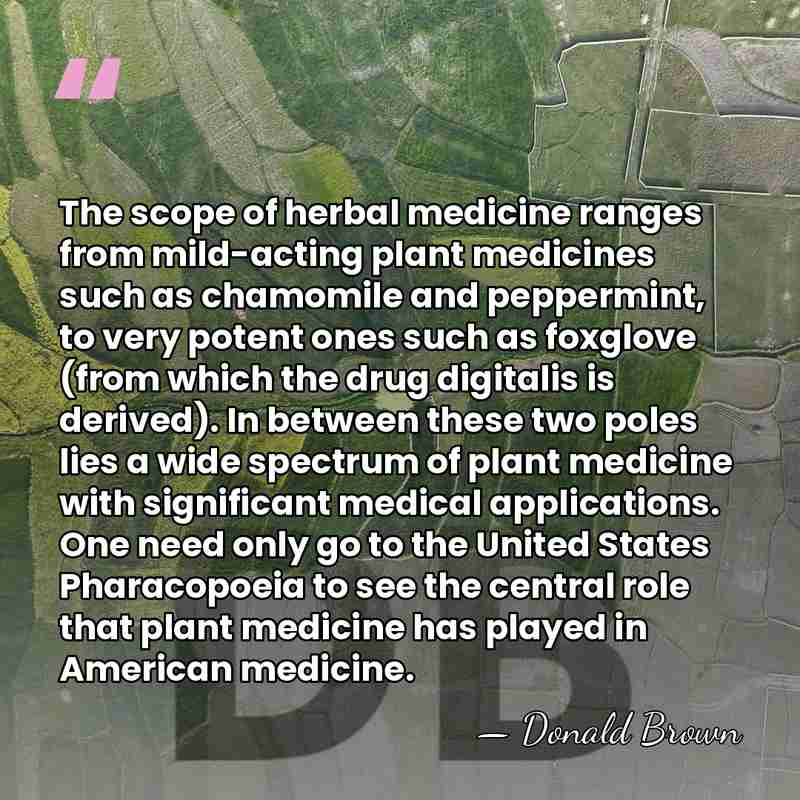 The scope of herbal medicine ranges from mild-acting plant medicines such as&hellip; - Donald Brown