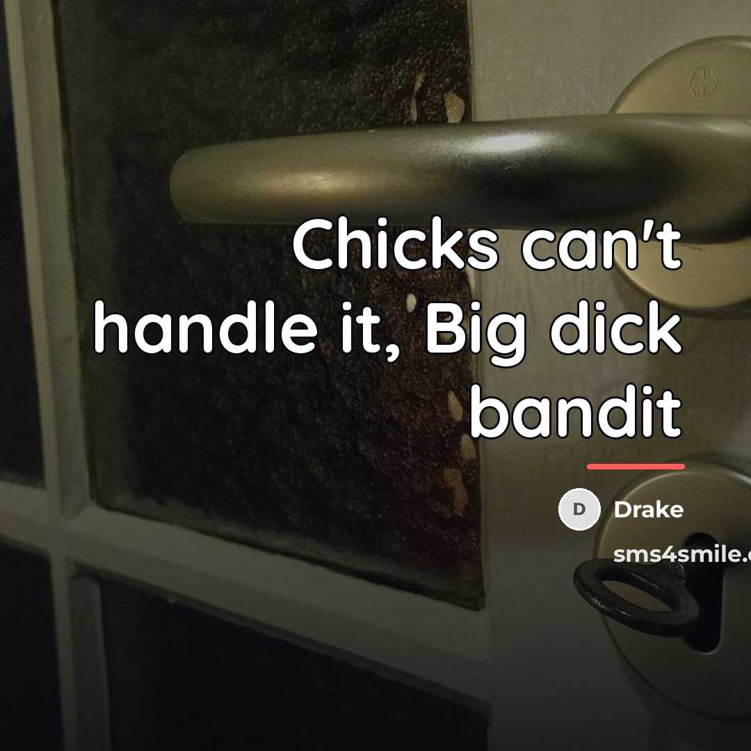 “Chicks can't handle it, Big dick bandit…” quote by Drake
