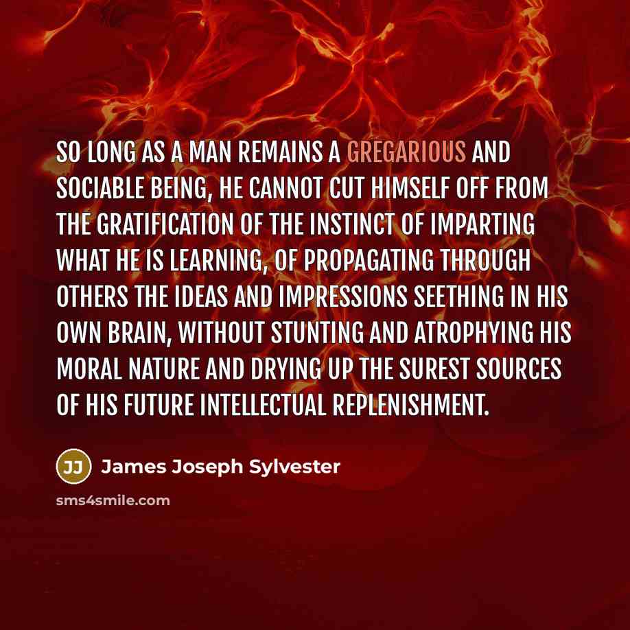 “So long as a man remains a gregarious and sociable…” quote by James Joseph Sylvester