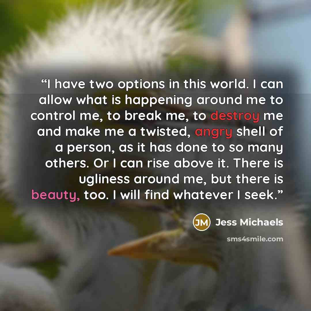 “I have two options in this world. I can allow what is happening around me to control me, to break me, to destroy me and make me a twisted, angry shell of a person, as it has done to so many others. Or I can rise above it. There is ugliness around me, but there is beauty, too. I will find whatever…” quote by Jess Michaels