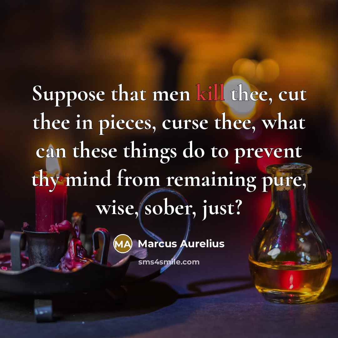 “Suppose that men kill thee, cut thee in pieces, curse…” quote by Marcus Aurelius