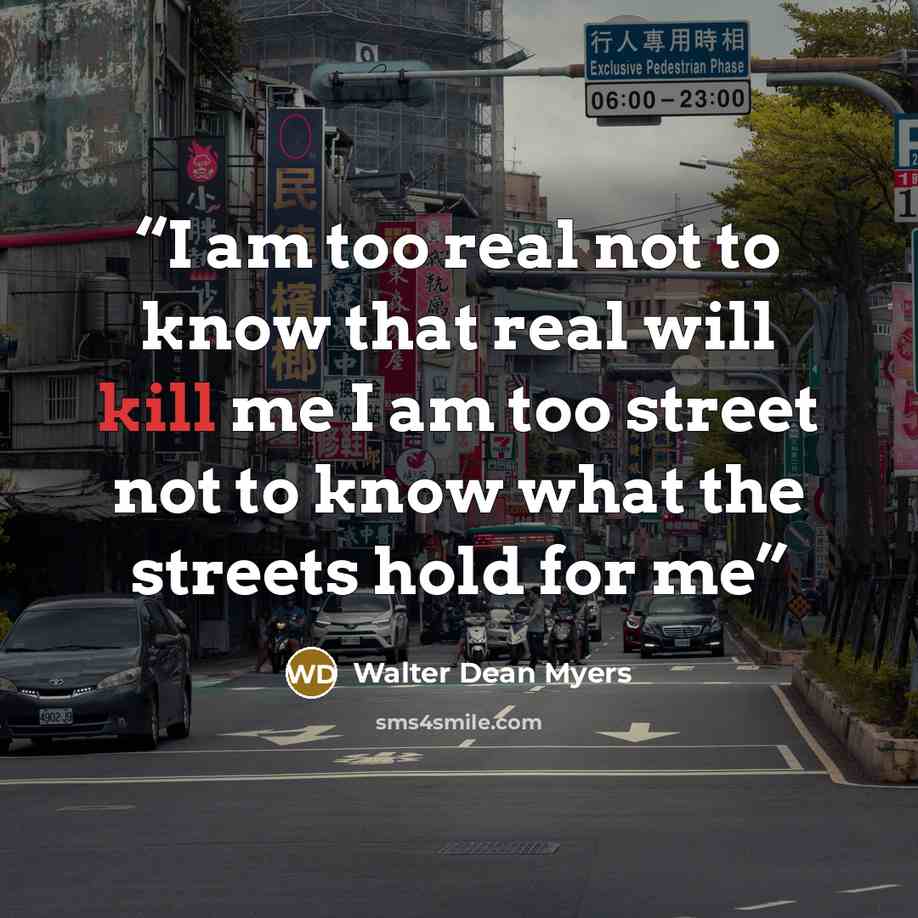 “I am too real not to know that real will kill me I am too street not to know what the streets hold for me” quote by Walter Dean Myers