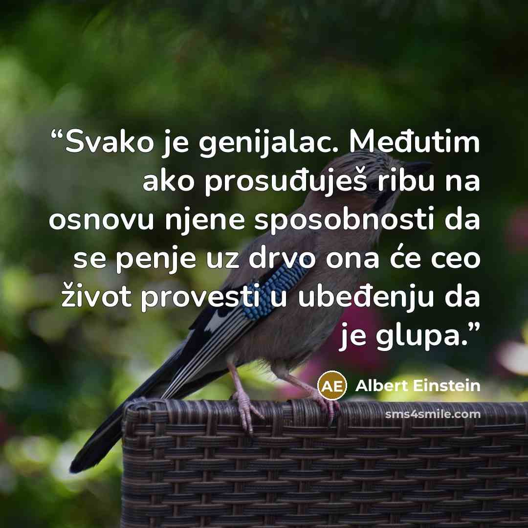 “Svako je genijalac. Međutim ako prosuđuješ ribu na osnovu njene sposobnosti da se penje uz drvo ona će ceo život provesti u ubeđenju da je glupa.” quote by Albert Einstein