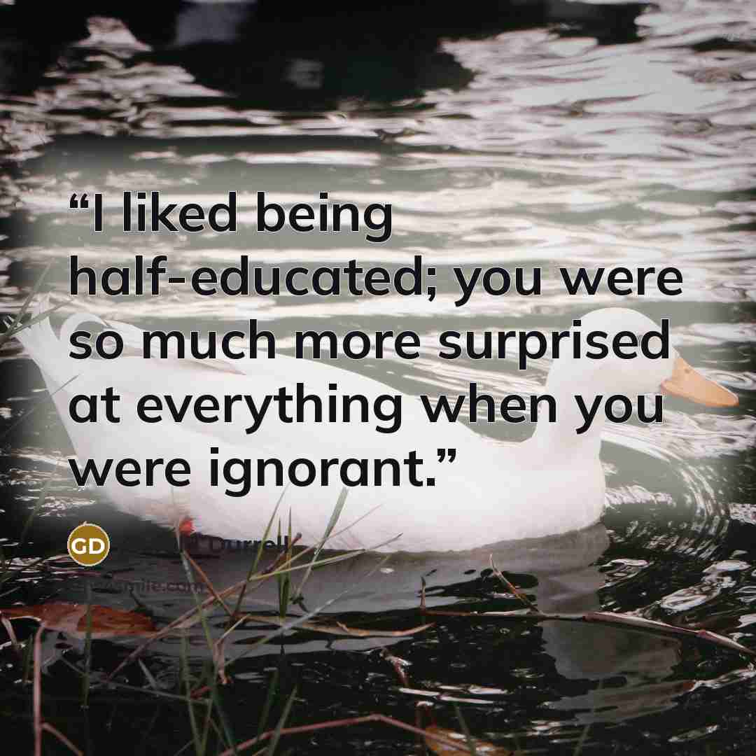 “I liked being half-educated; you were so much more surprised at everything when you were ignorant.” quote by Gerald Durrell