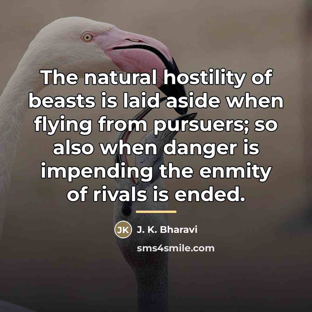 “The natural hostility of beasts is laid aside when flying…” quote by J. K. Bharavi
