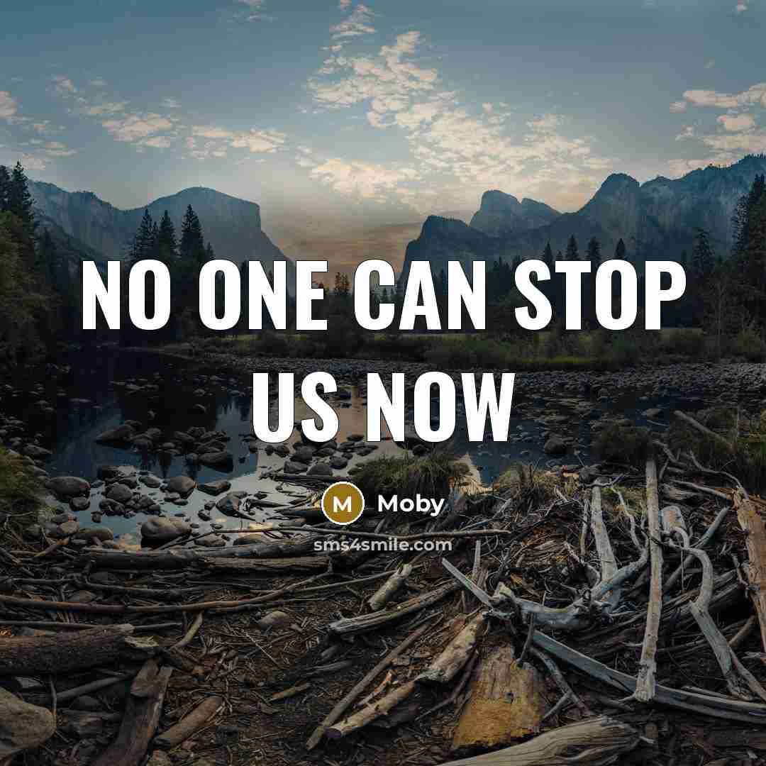 “No one can stop us now” quote by Moby