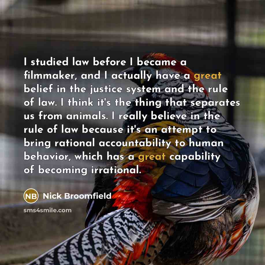 “I studied law before I became a filmmaker, and I…” quote by Nick Broomfield