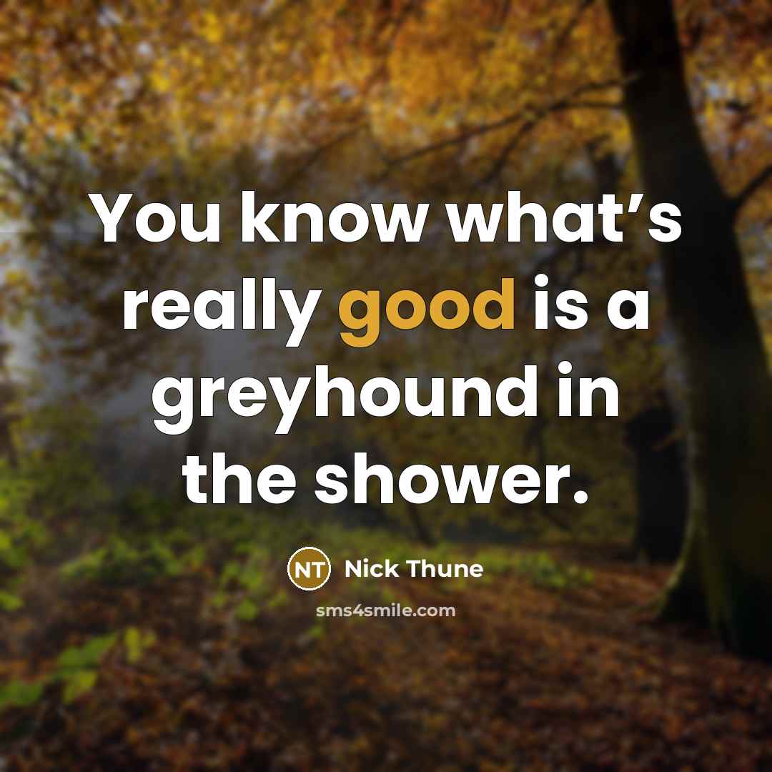 “You know what’s really good is a greyhound in the shower.” quote by Nick Thune