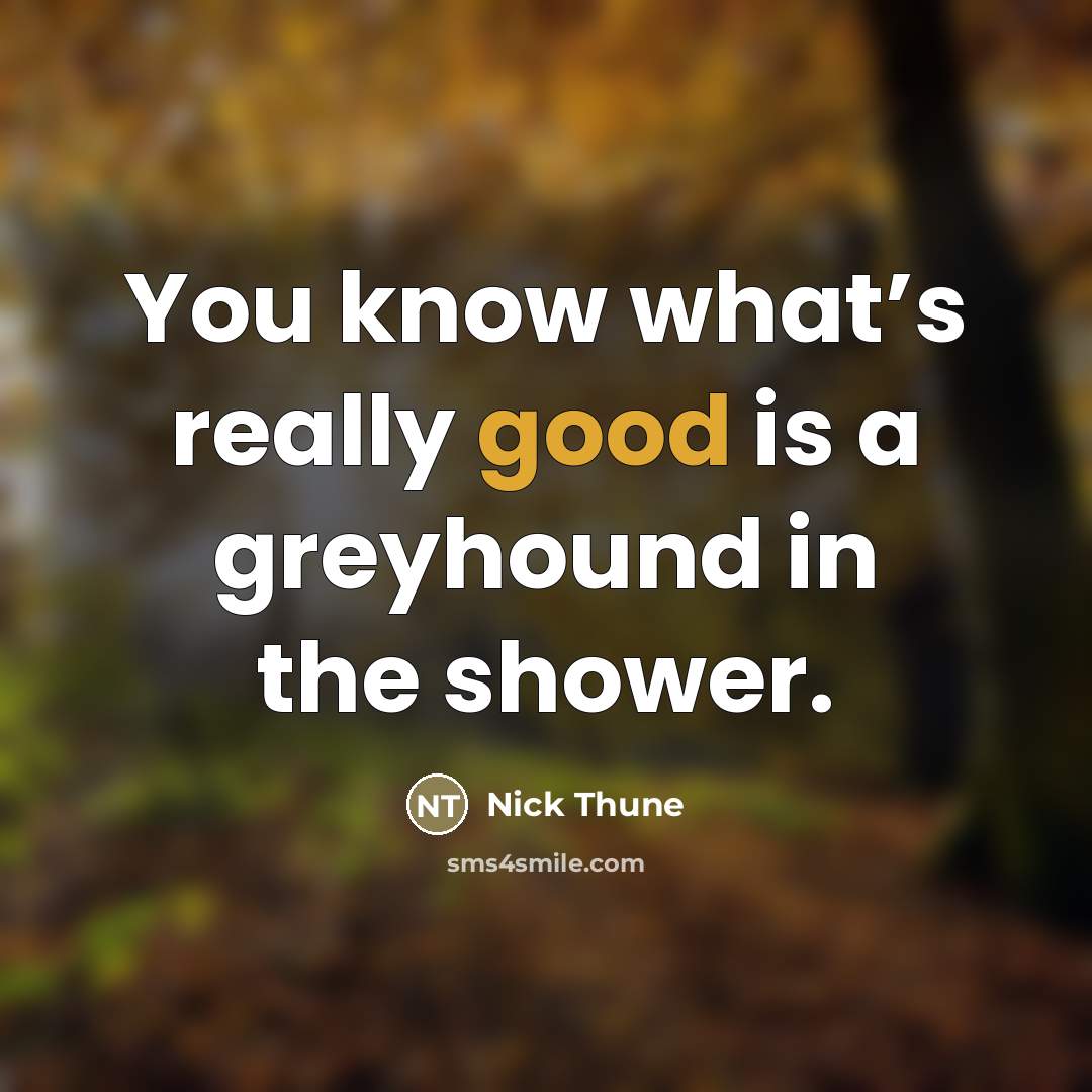 “You know what’s really good is a greyhound in the…” quote by Nick Thune