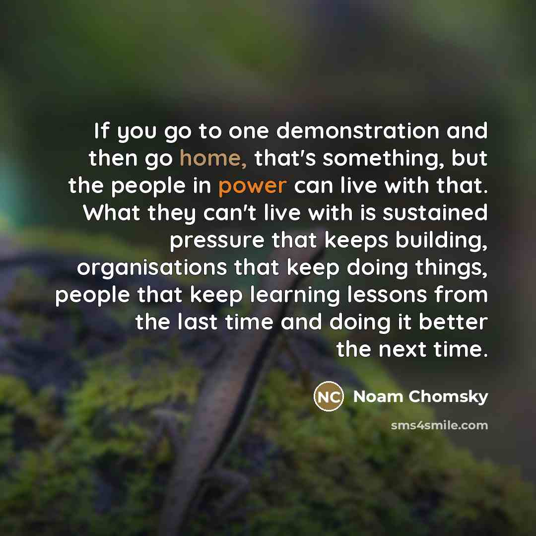 “If you go to one demonstration and then go home,…” quote by Noam Chomsky