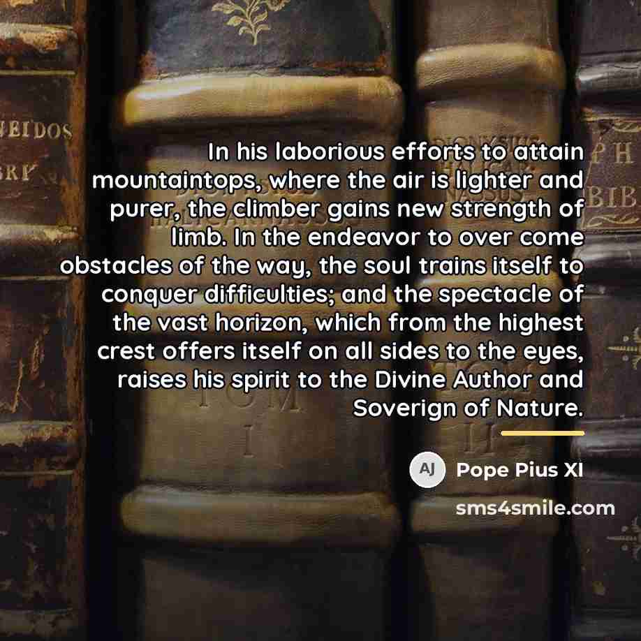 “In his laborious efforts to attain mountaintops, where the air…” quote by Pope Pius XI