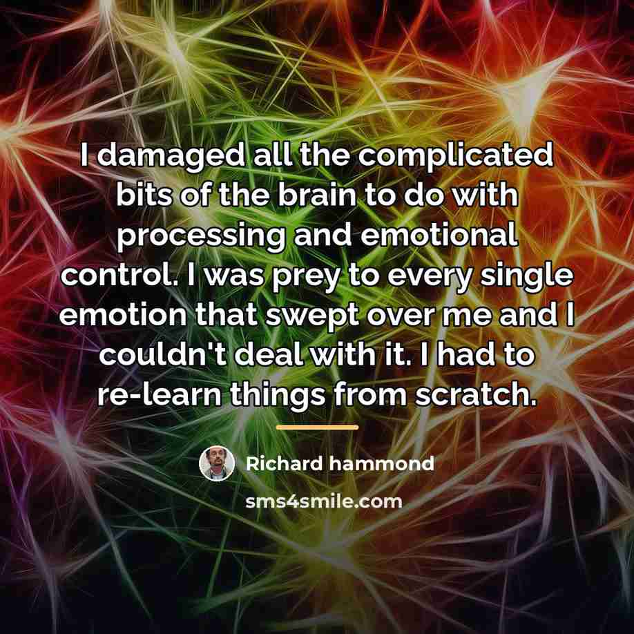 “I damaged all the complicated bits of the brain to…” quote by Richard Hammond