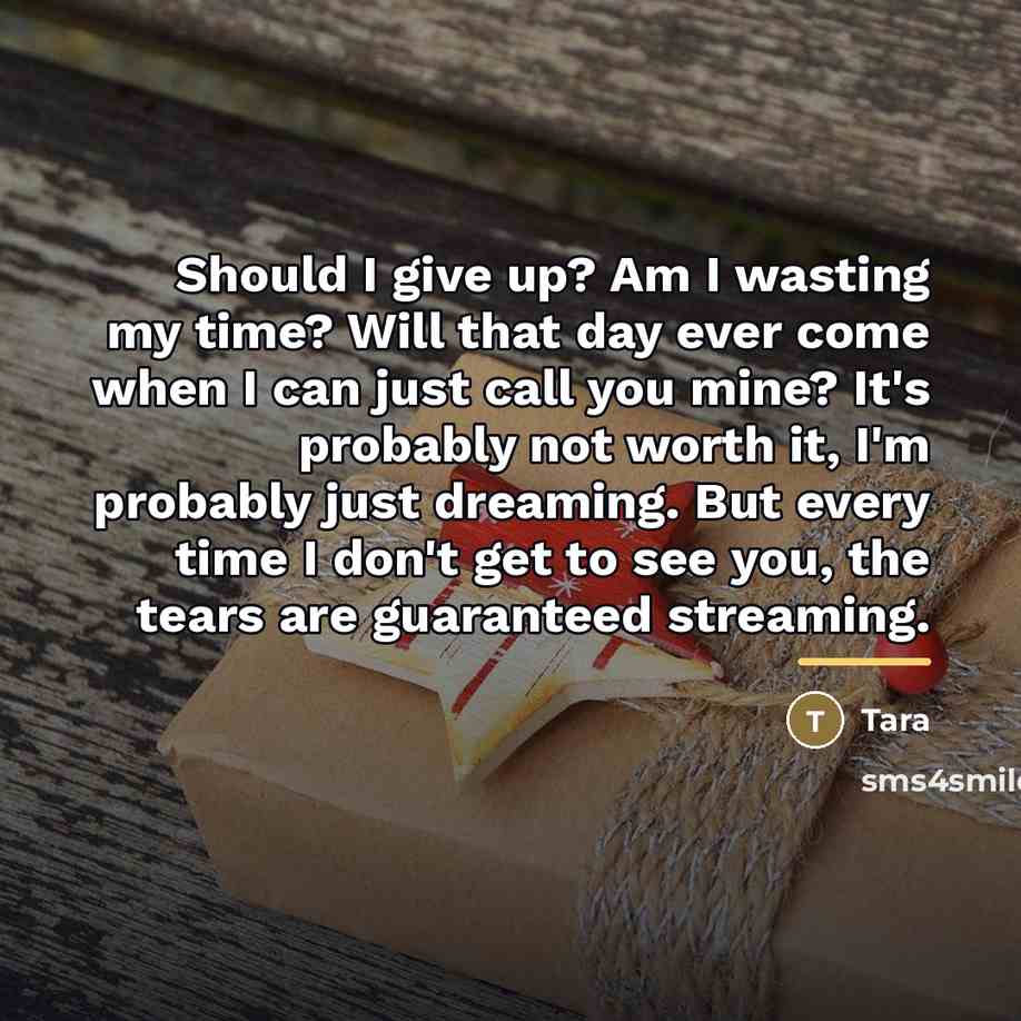 “Should I give up? Am I wasting my time? Will…” quote by Tara