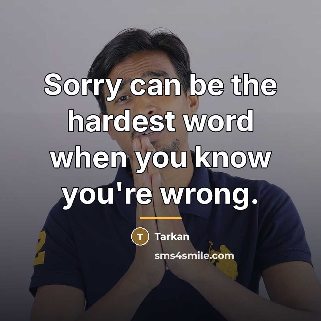 “Sorry can be the hardest word when you know you're…” quote by Tarkan