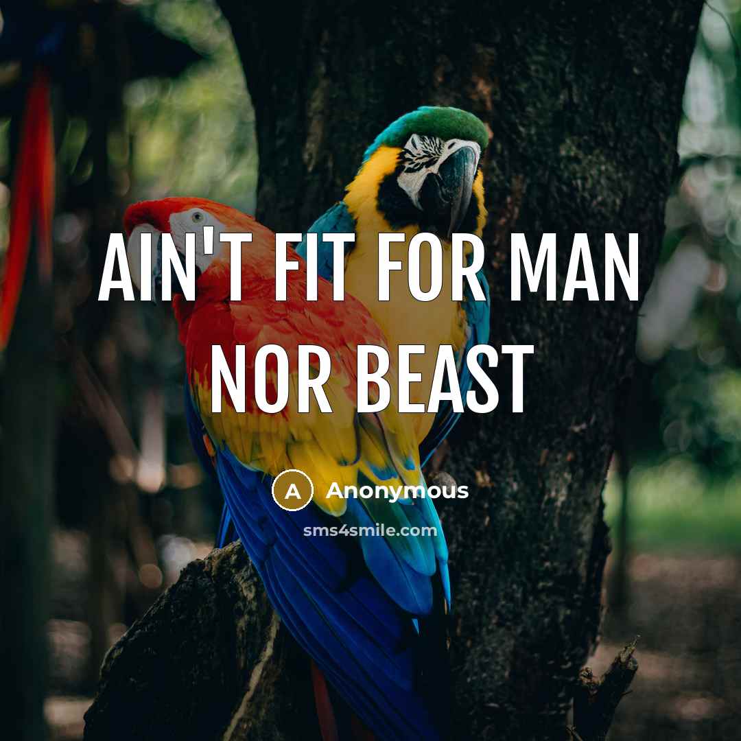“Ain't fit for man nor beast…” quote by Anonymous
