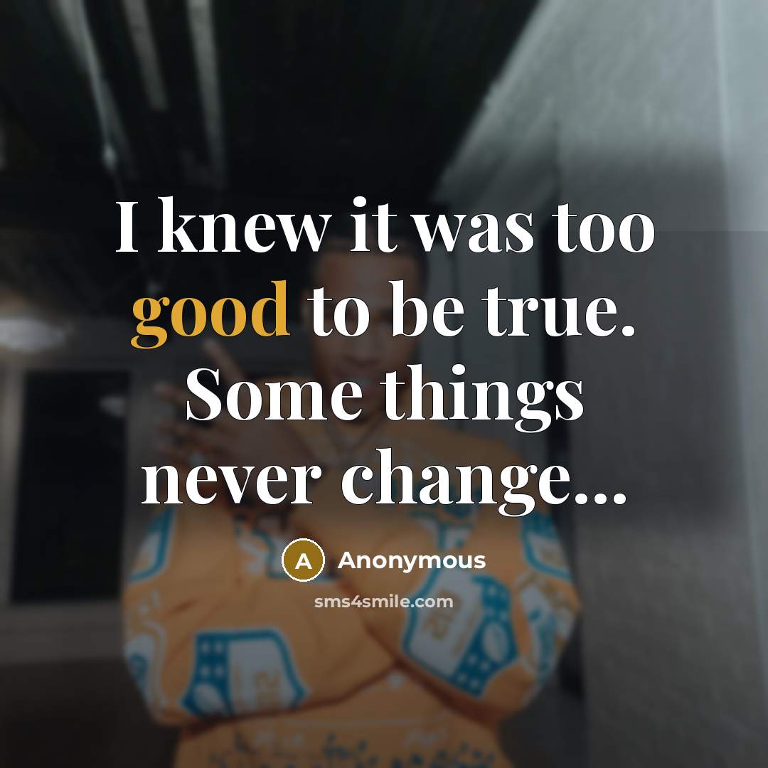 “I knew it was too good to be true. Some…” quote by Anonymous