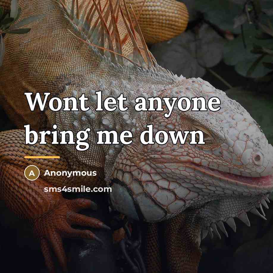 “Wont let anyone bring me down…” quote by Anonymous