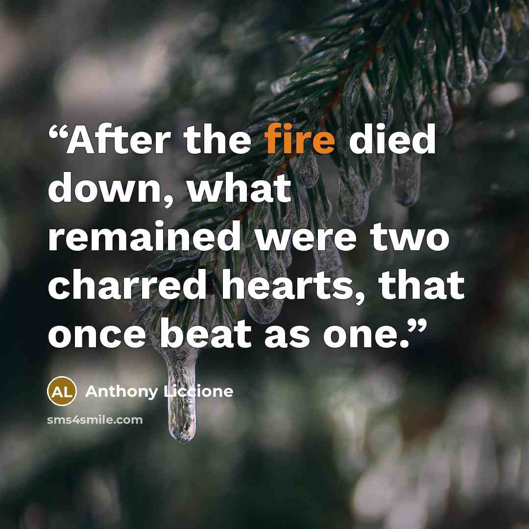 “After the fire died down, what remained were two charred hearts, that once beat as one.” quote by Anthony Liccione