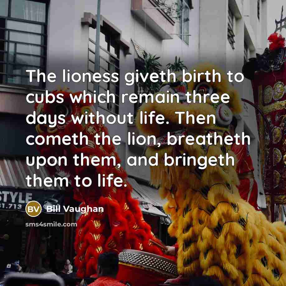 “The lioness giveth birth to cubs which remain three days…” quote by Bill Vaughan