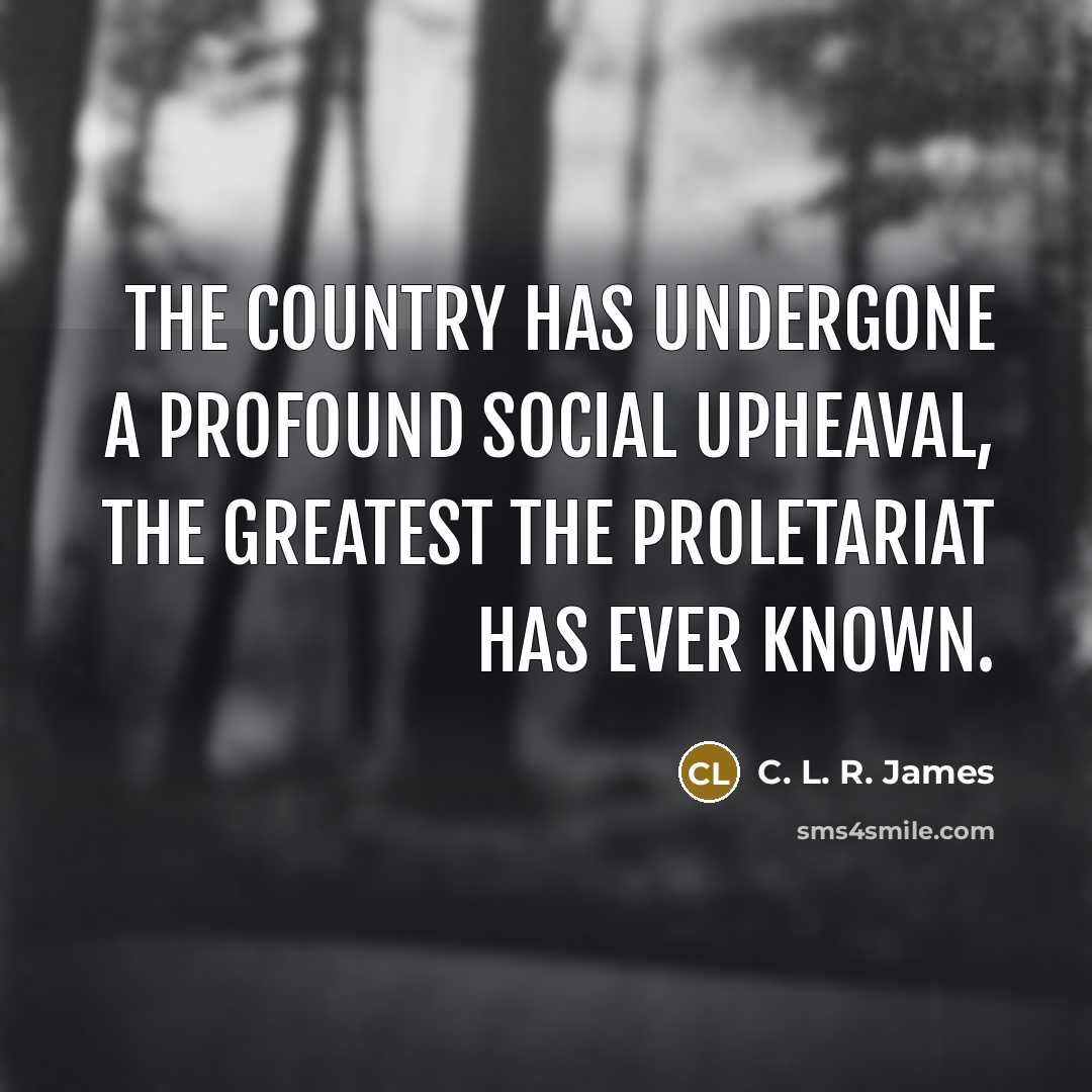 “The country has undergone a profound social upheaval, the greatest…” quote by C. L. R. James