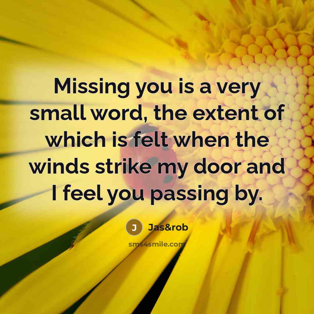 “Missing you is a very small word, the extent of…” quote by Jas&rob