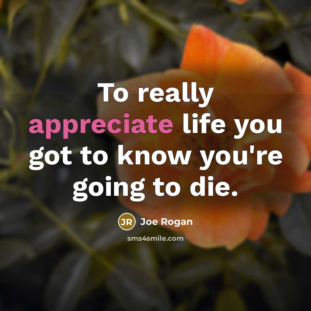 “To really appreciate life you got to know you're going…” quote by Joe Rogan